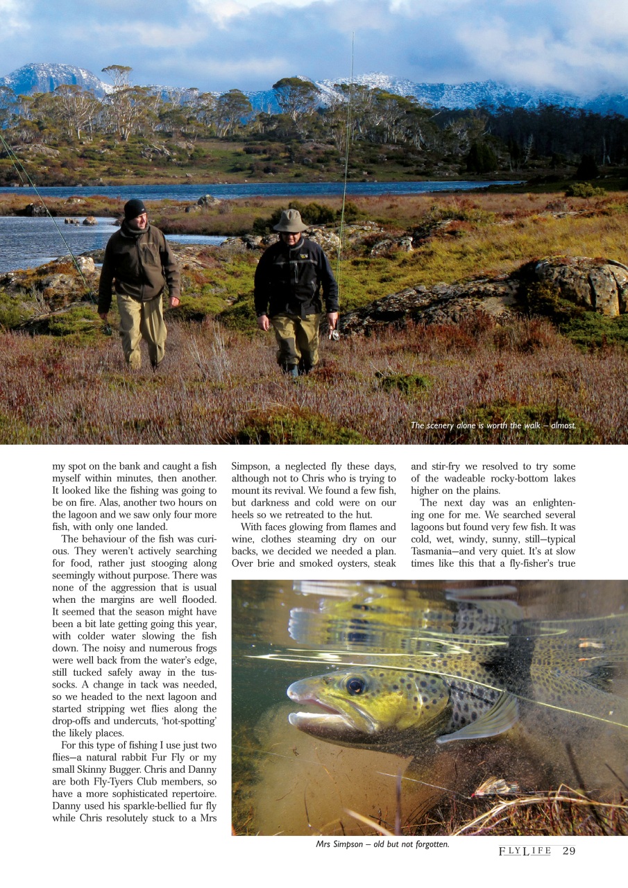 FlyLife Preview Pages