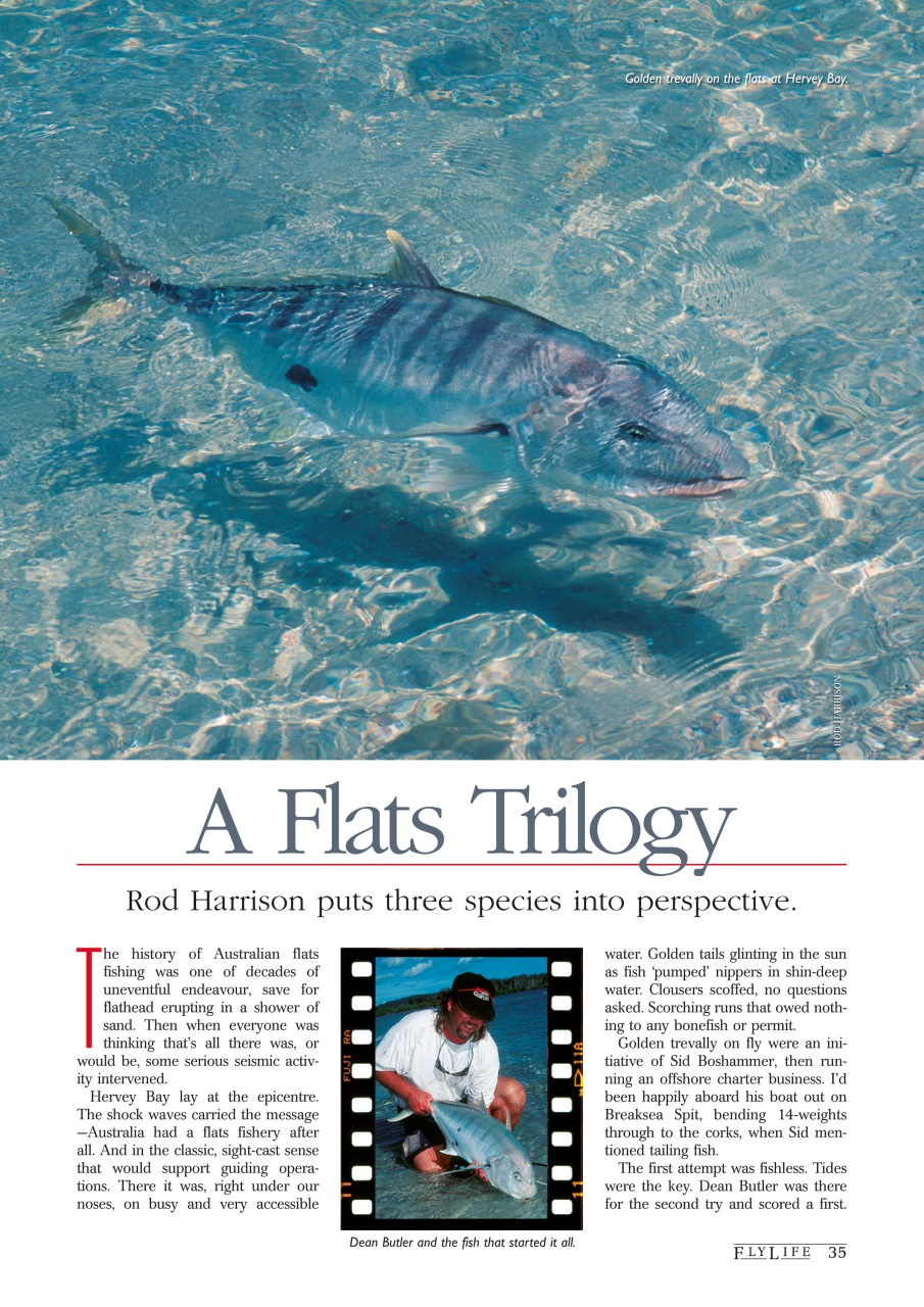 FlyLife Preview Pages