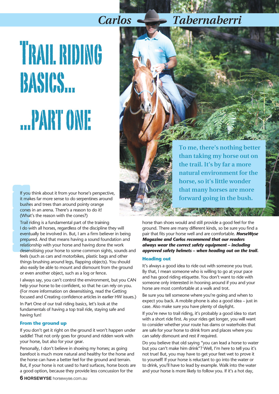 HorseWyse Magazine Preview Pages