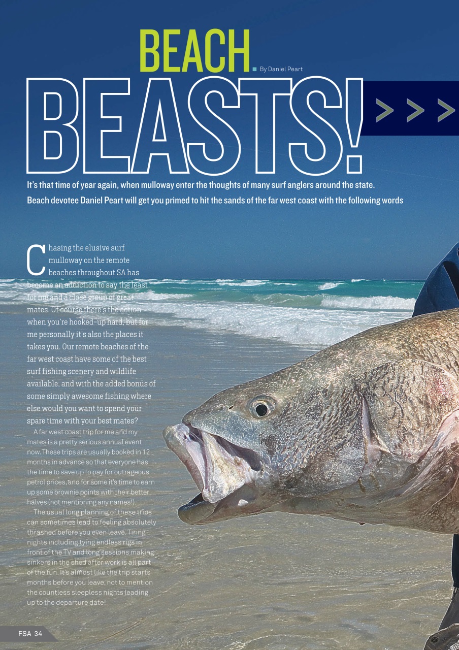 Fishing SA Preview Pages