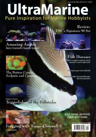 UltraMarine Magazine issue Issue 42