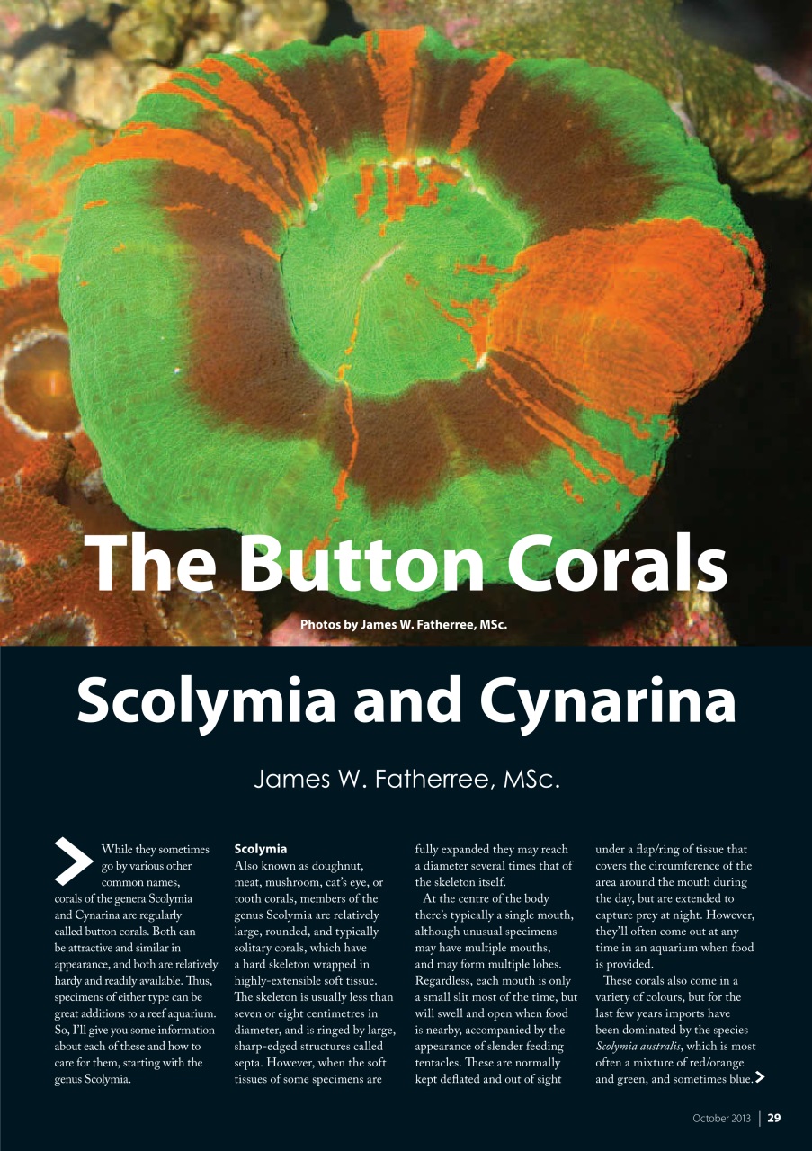 UltraMarine Magazine Preview Pages