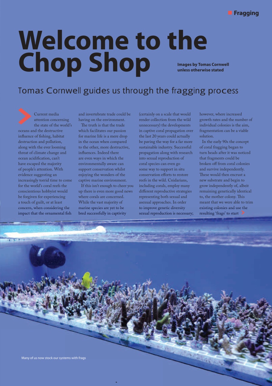 UltraMarine Magazine Preview Pages