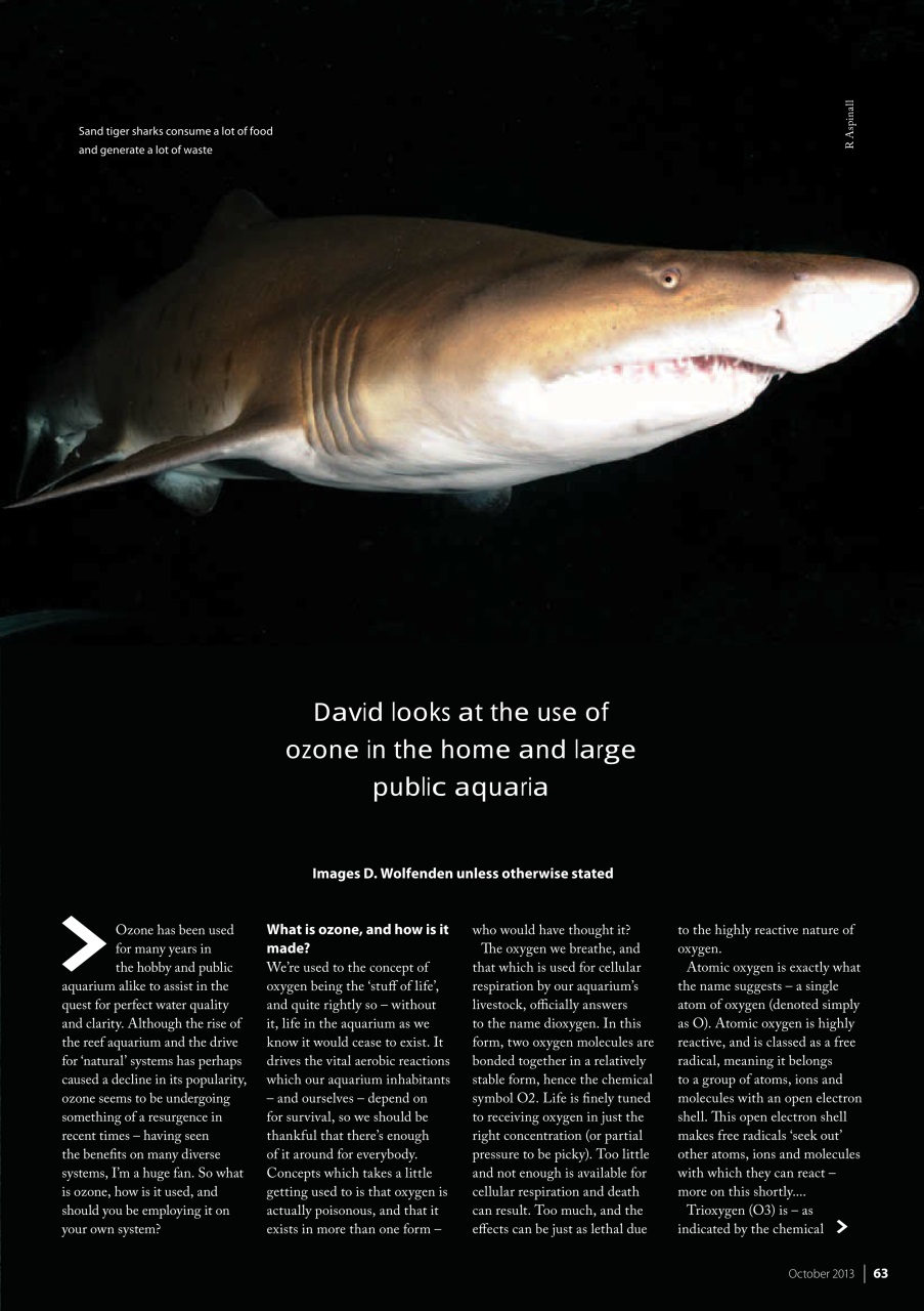 UltraMarine Magazine Preview Pages