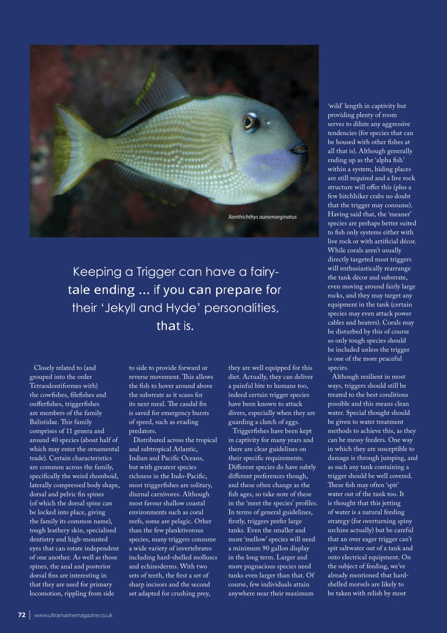 UltraMarine Magazine Preview Pages