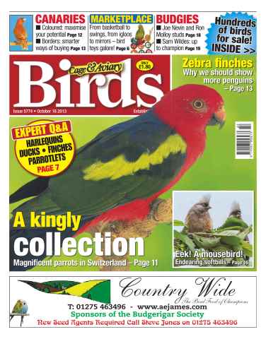 Cage & Aviary Birds issue No.5774 A Kingly Collection