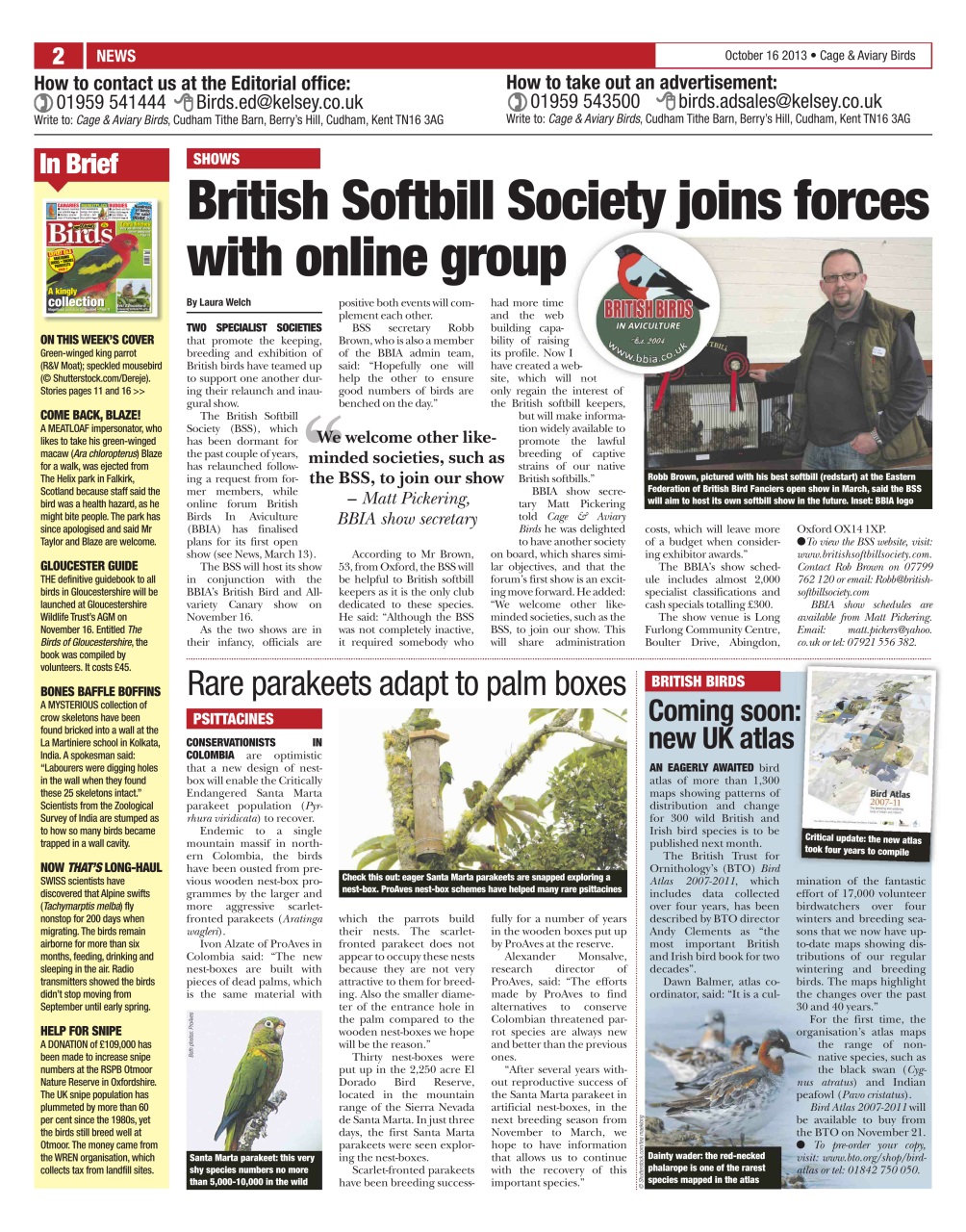 Cage & Aviary Birds Preview Pages