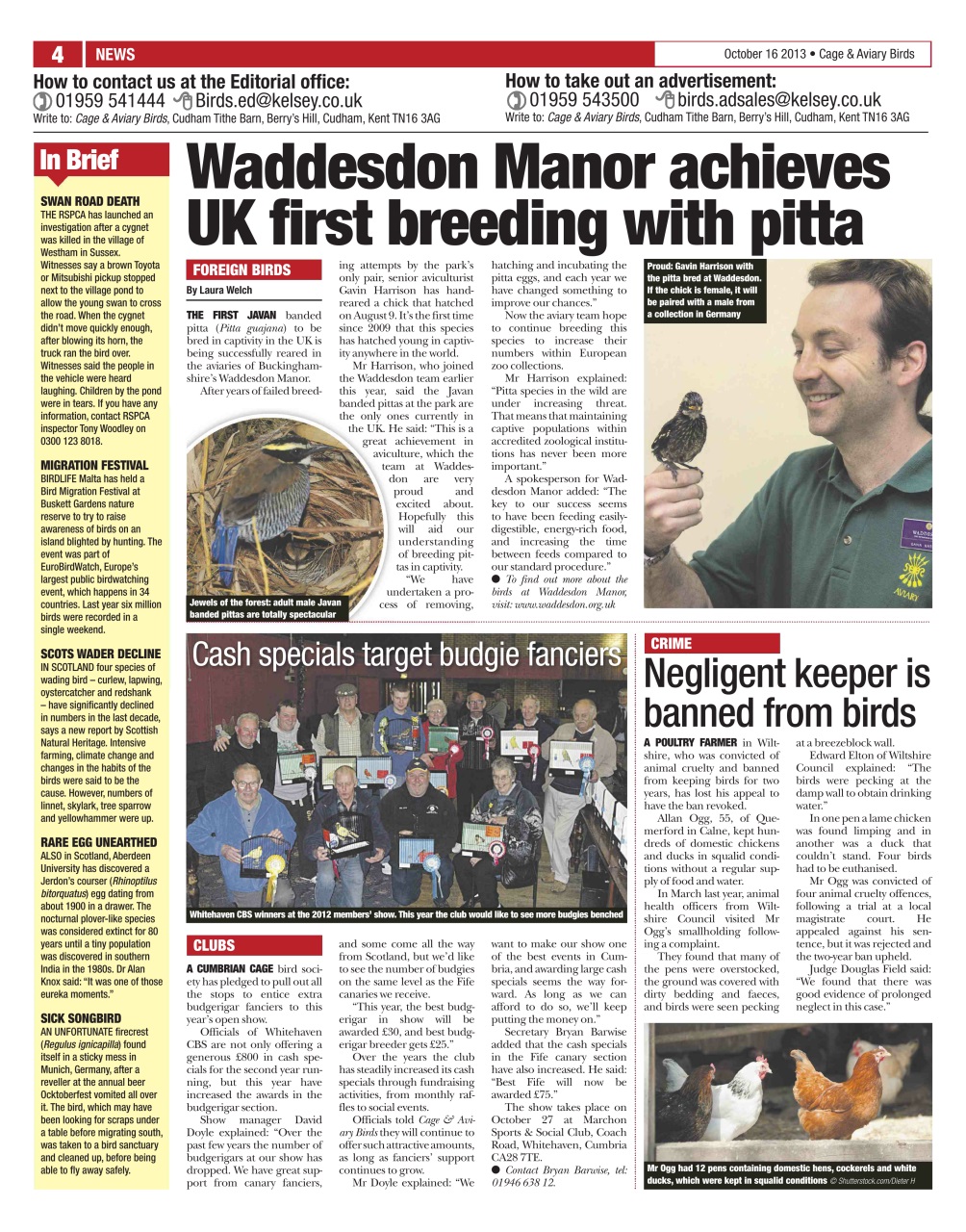 Cage & Aviary Birds Preview Pages