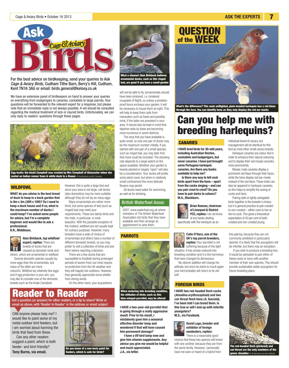 Cage & Aviary Birds Preview Pages