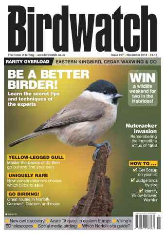 Birdwatch Magazine issue November 2013