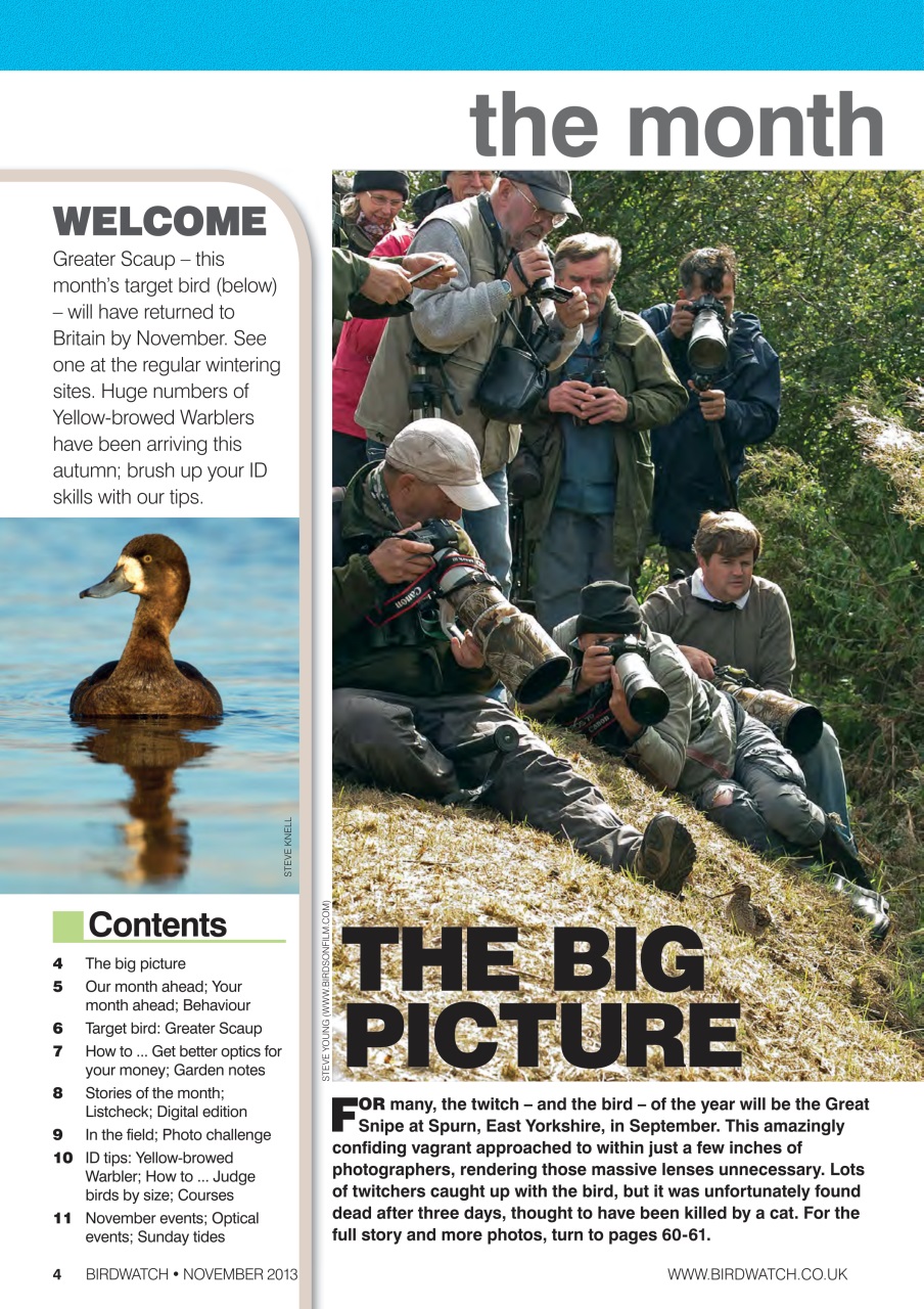 Birdwatch Magazine Preview Pages