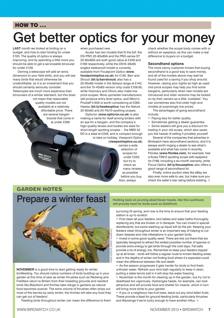 Birdwatch Magazine Preview Pages