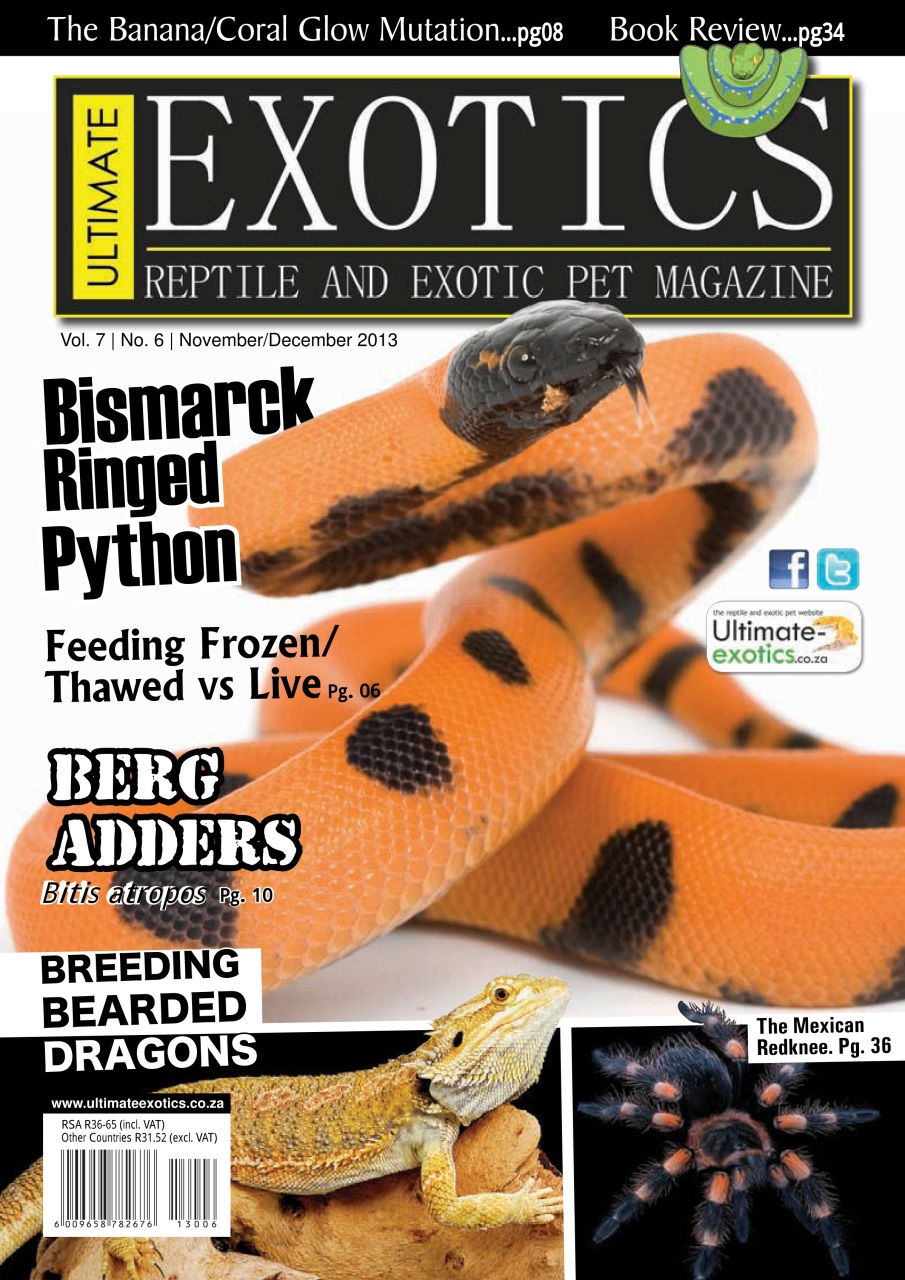 Ultimate Exotics Preview Pages