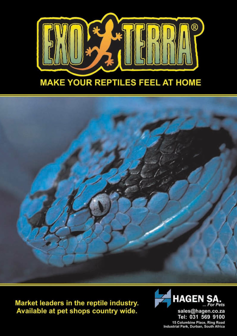 Ultimate Exotics Preview Pages