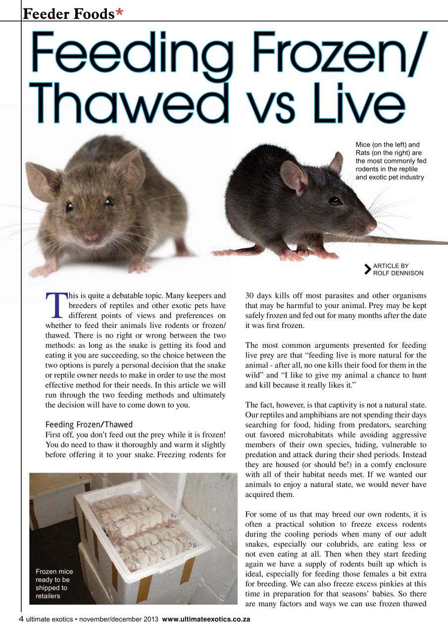 Ultimate Exotics Preview Pages