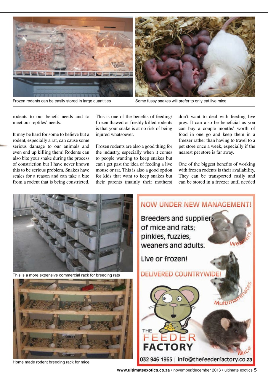 Ultimate Exotics Preview Pages