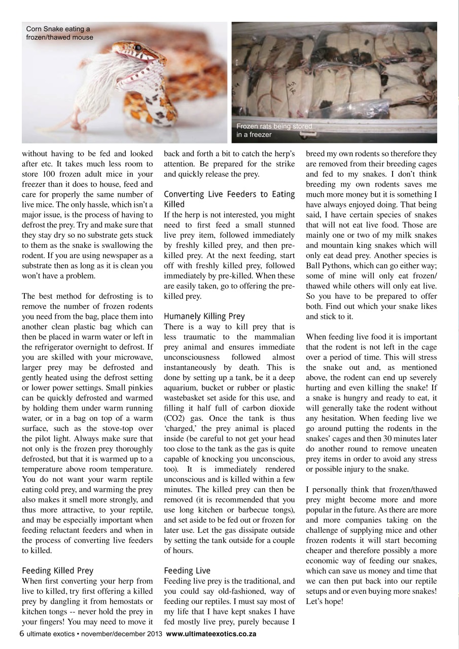 Ultimate Exotics Preview Pages