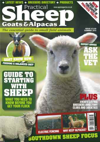 The Smallholder issue No.1 Starting with Sheep