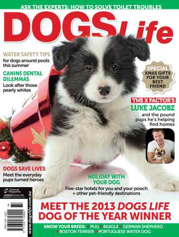 Dogs Life issue Nov-Dec Issue#122