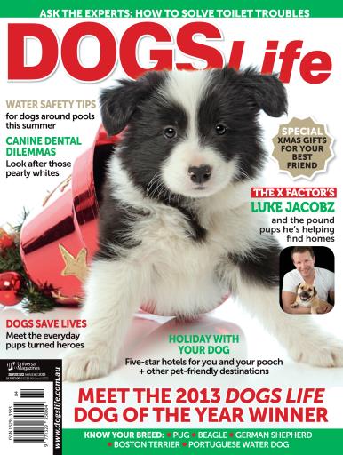 Dogs Life issue 