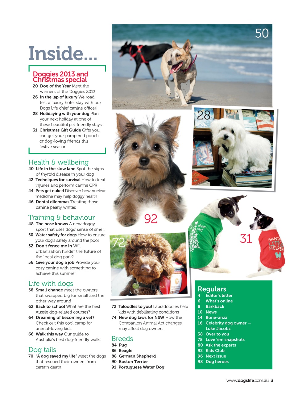 Dogs Life Preview Pages