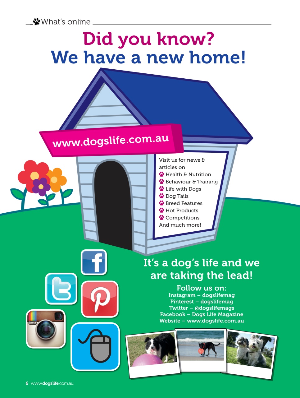 Dogs Life Preview Pages