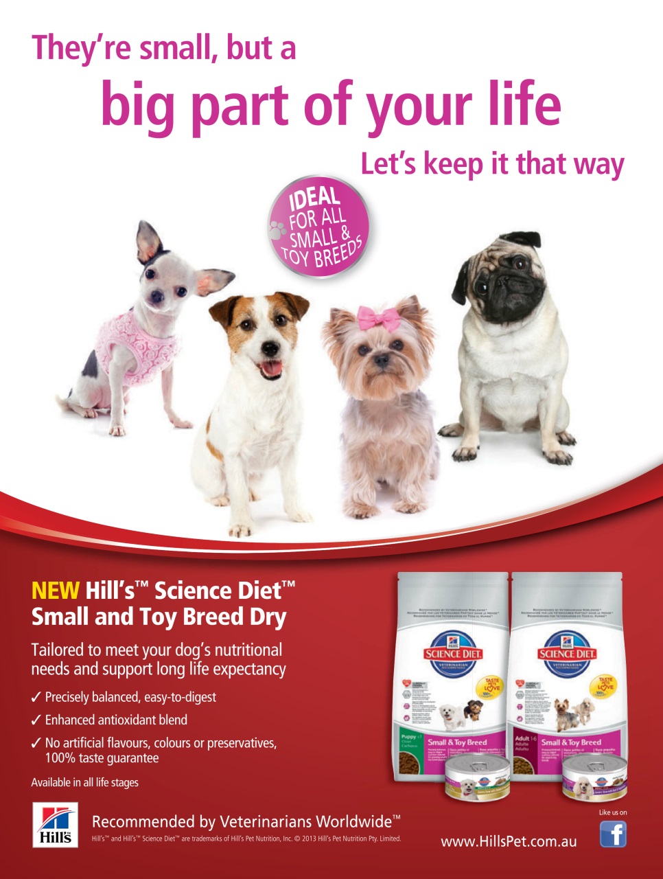 Dogs Life Preview Pages