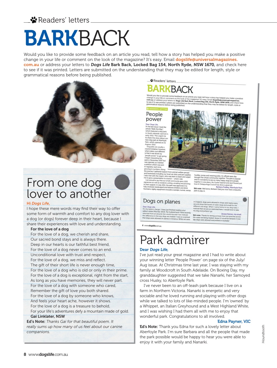 Dogs Life Preview Pages