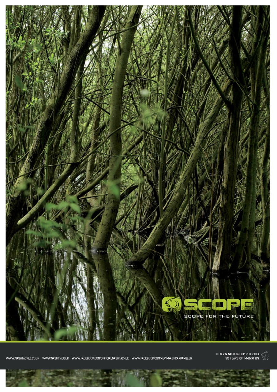 Crafty Carper Preview Pages