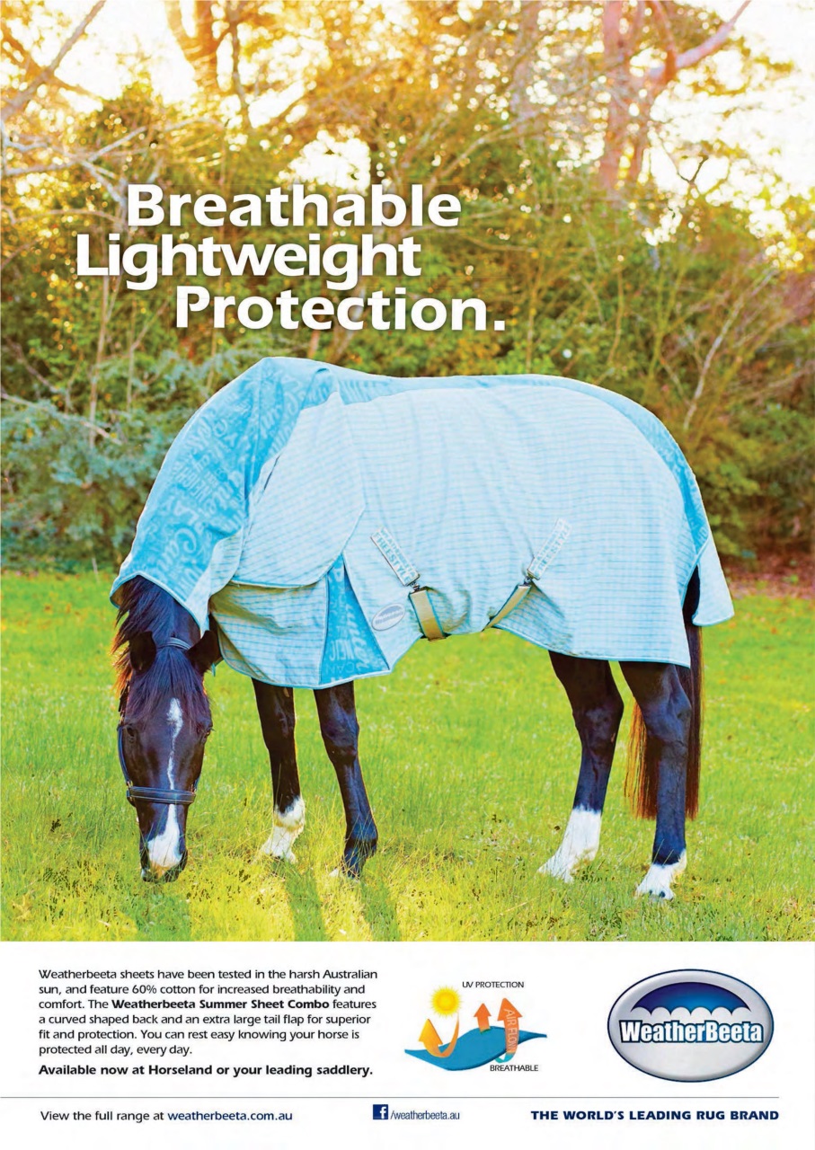 The Horse Magazine Preview Pages