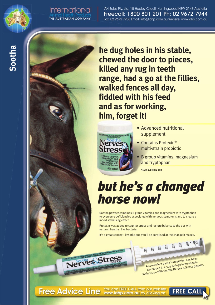 The Horse Magazine Preview Pages