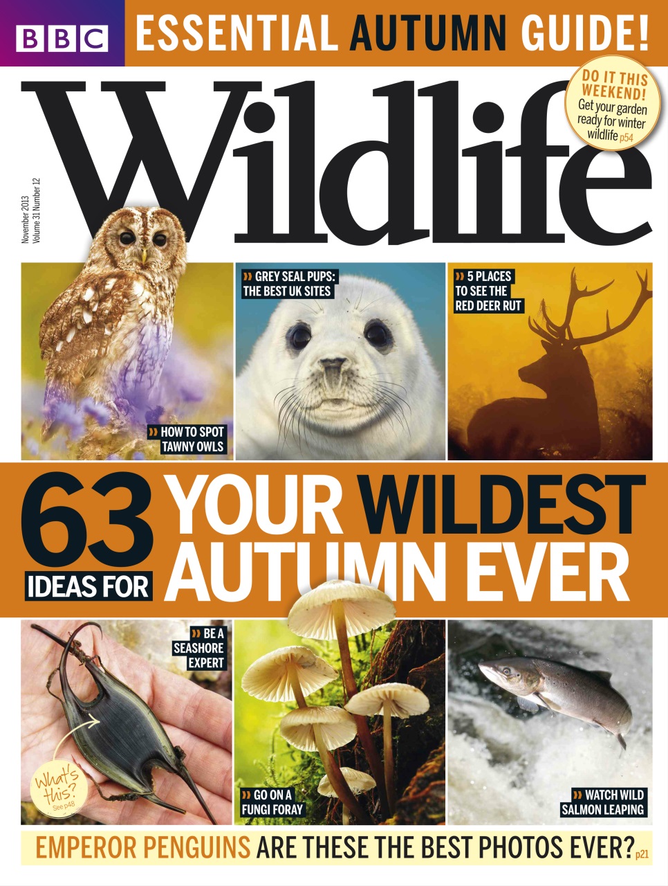 BBC Wildlife Magazine Preview Pages