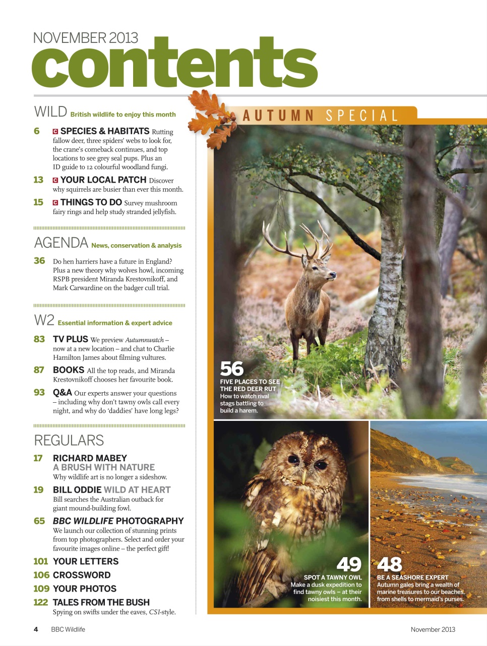 BBC Wildlife Magazine Preview Pages