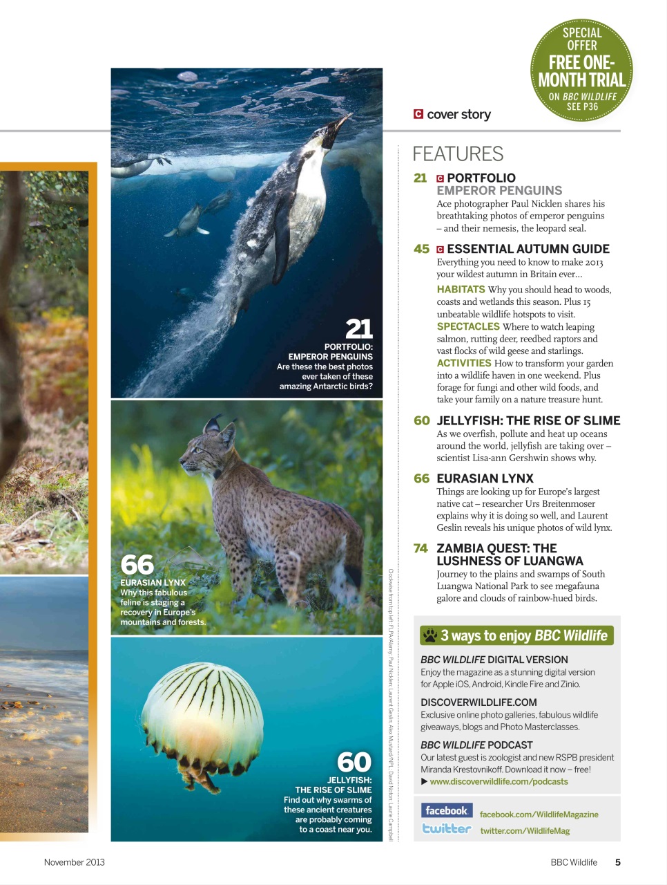 BBC Wildlife Magazine Preview Pages