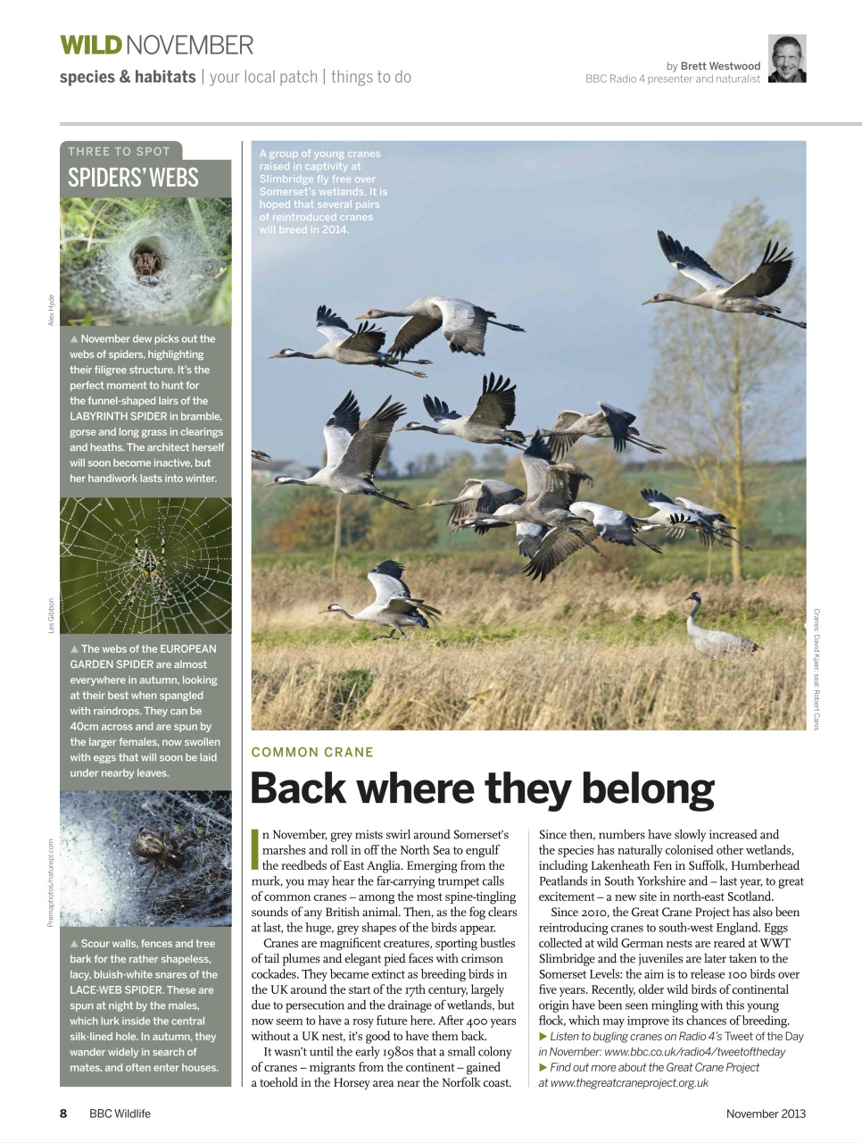 BBC Wildlife Magazine Preview Pages