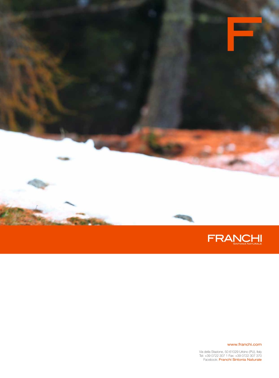 Armi E Tiro Preview Pages