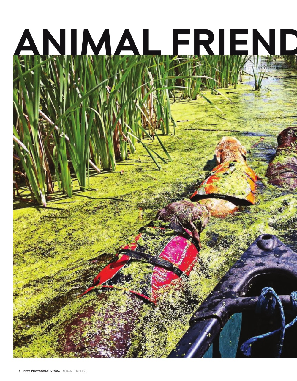 Canadian Geographic Preview Pages