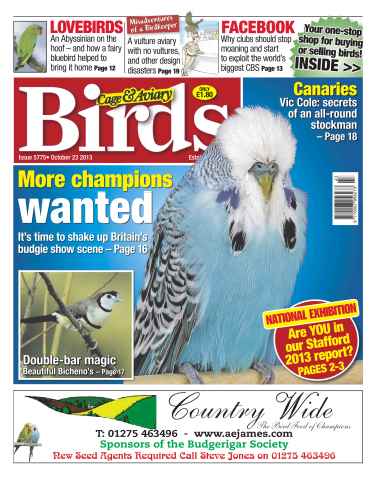 Cage & Aviary Birds issue 5775 More Champions Wanted