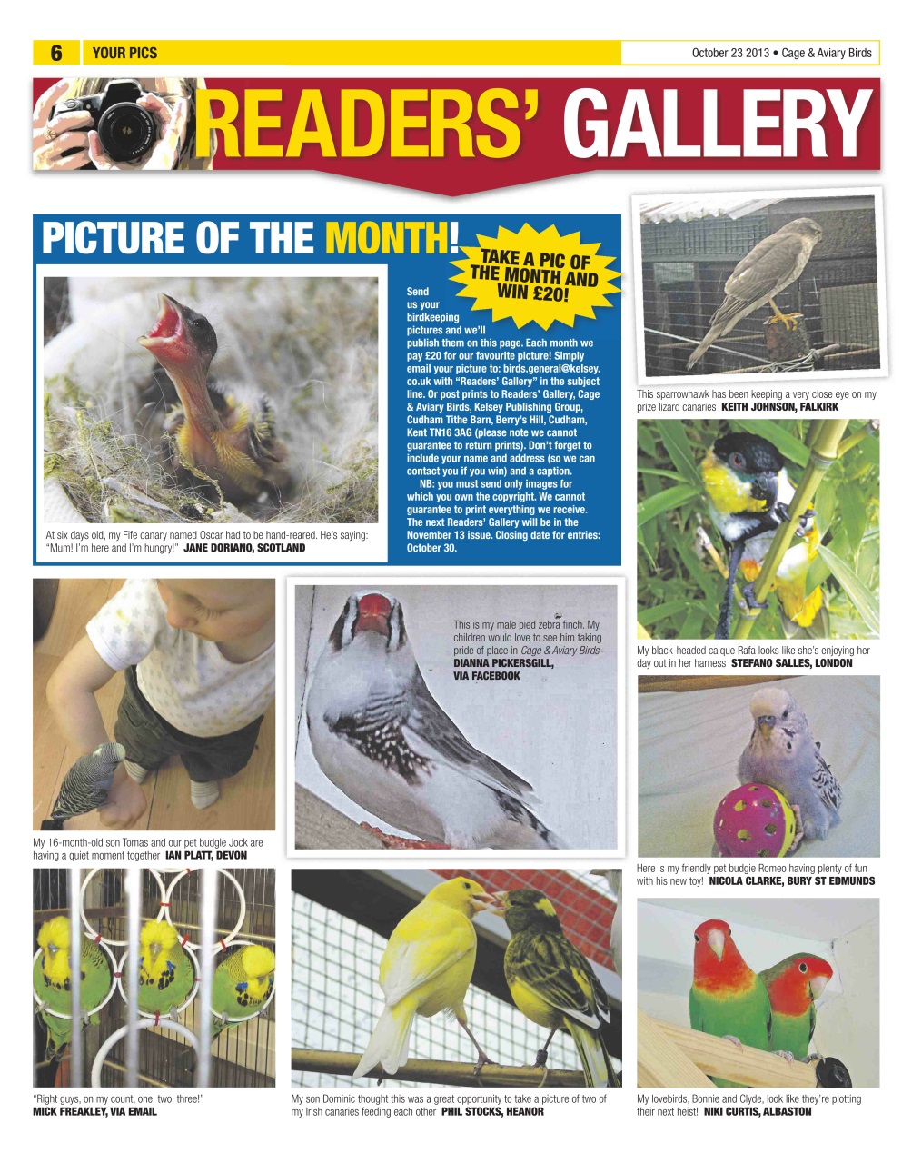 Cage & Aviary Birds Preview Pages