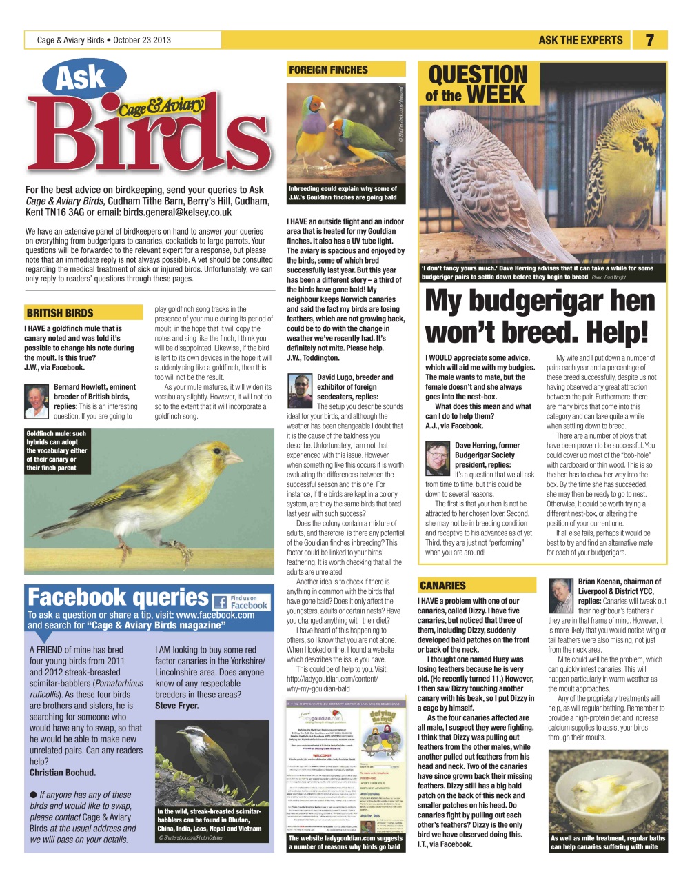 Cage & Aviary Birds Preview Pages