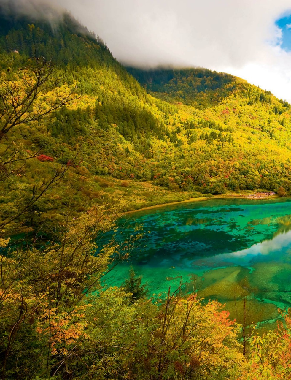 Cruise & Travel Preview Pages