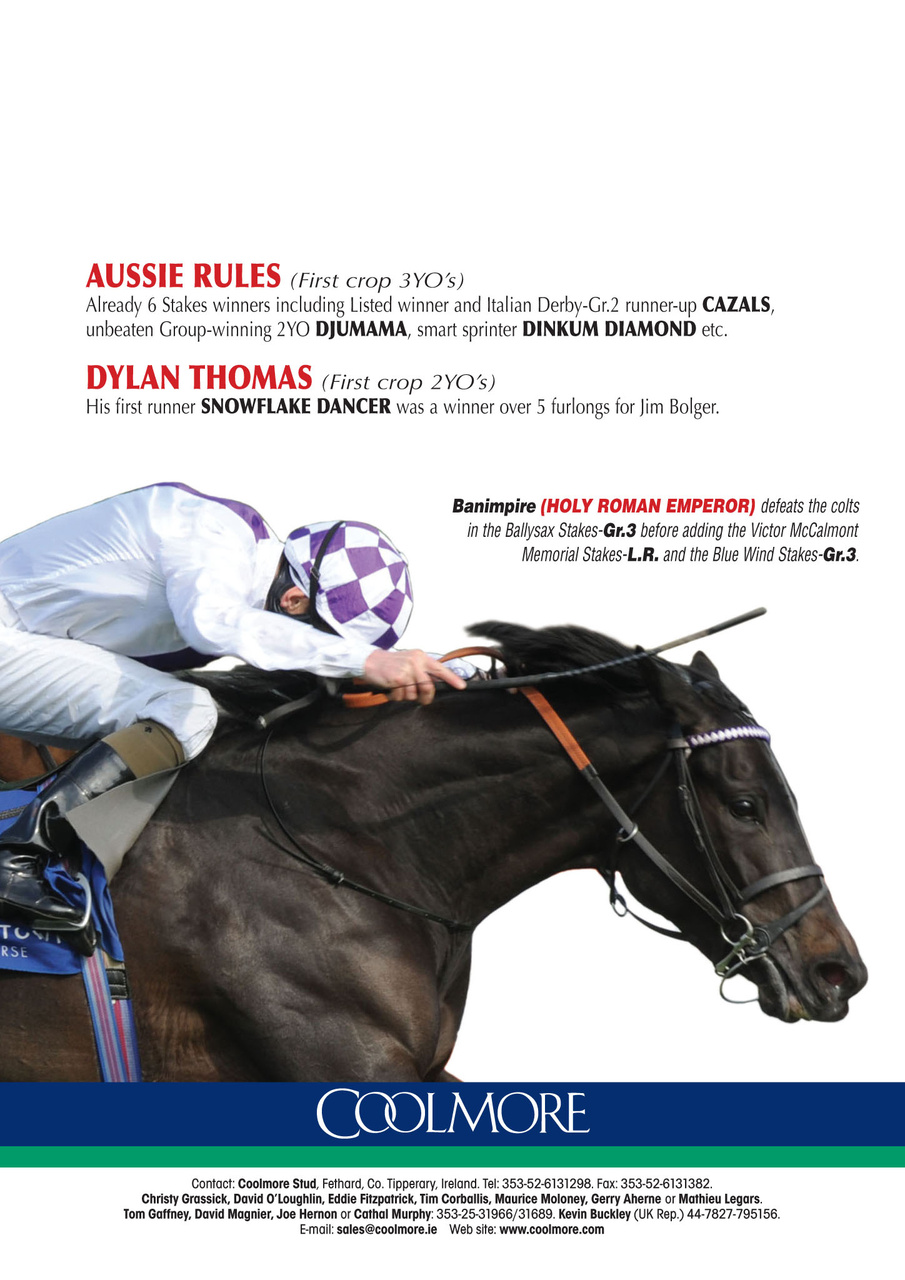 The Owner Breeder Preview Pages