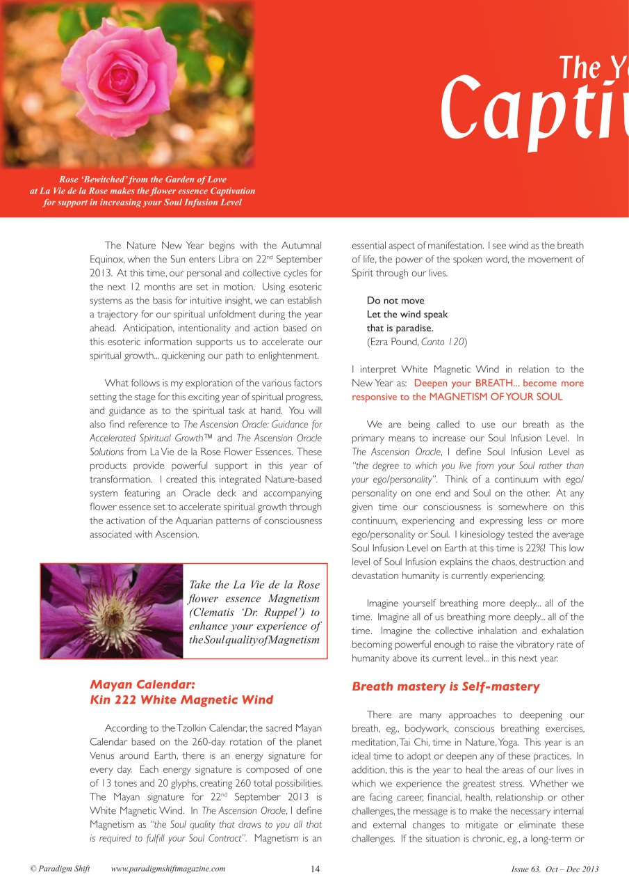 Paradigm Shift Preview Pages