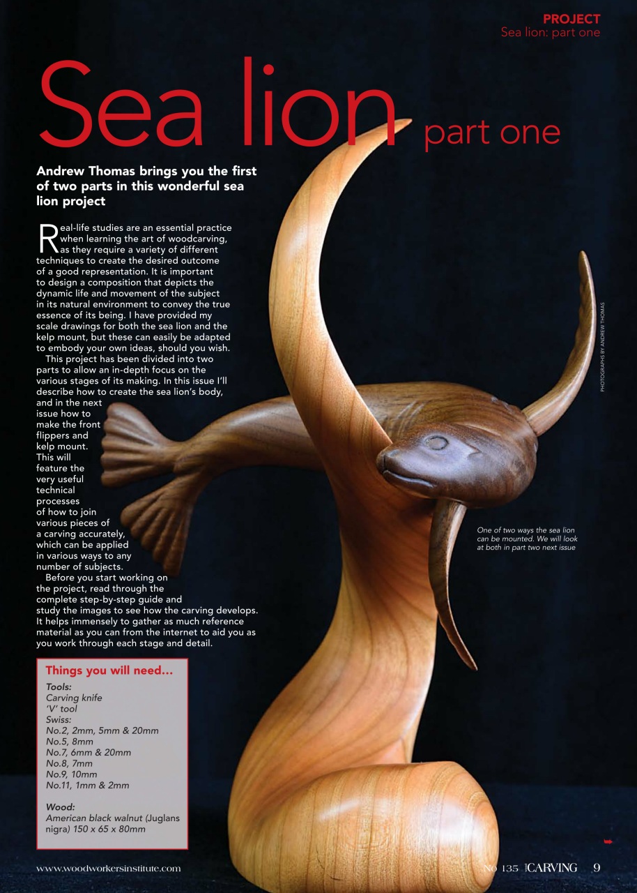 Woodcarving Preview Pages