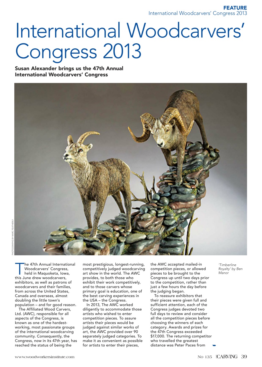 Woodcarving Preview Pages