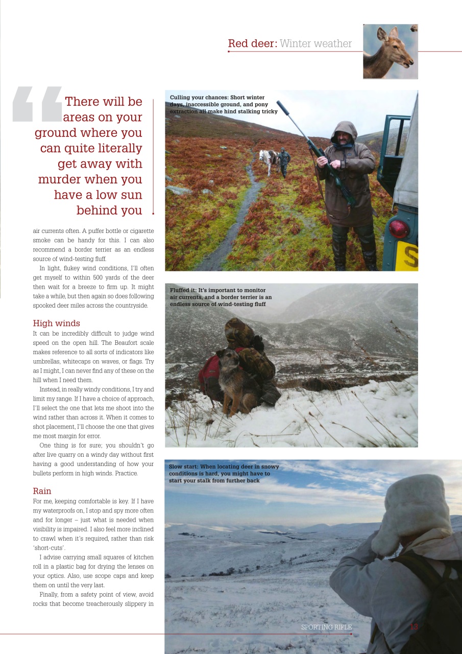 Sporting Rifle Preview Pages