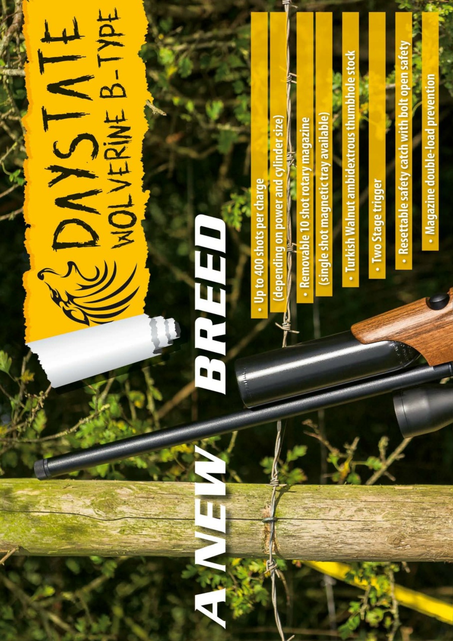 Airgun Shooter Preview Pages