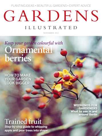 Gardens Illustrated issue November 2013