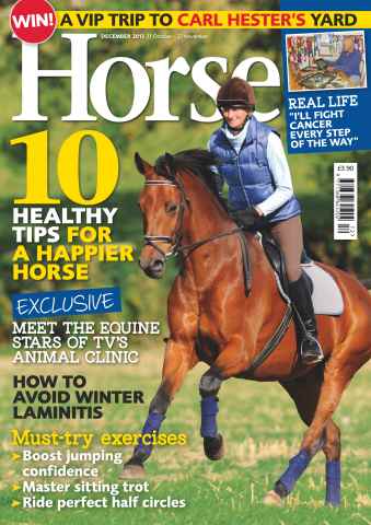 Horse issue December 2013