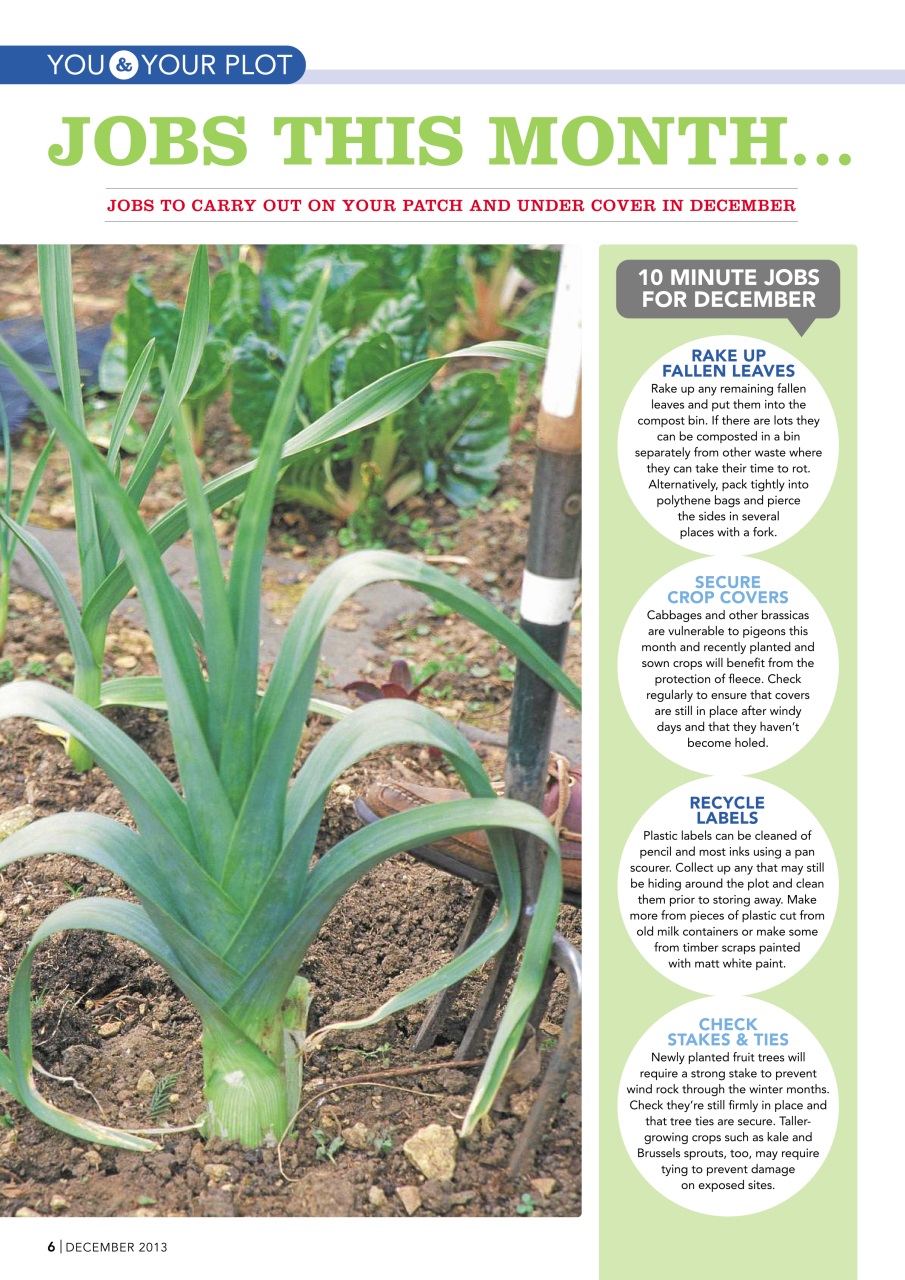 Kitchen Garden Magazine Preview Pages